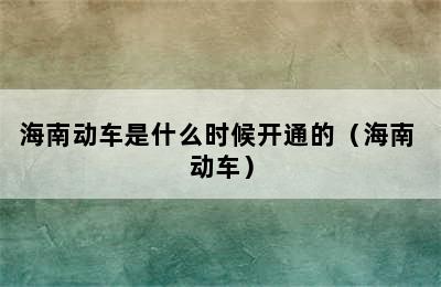 海南动车是什么时候开通的（海南 动车）